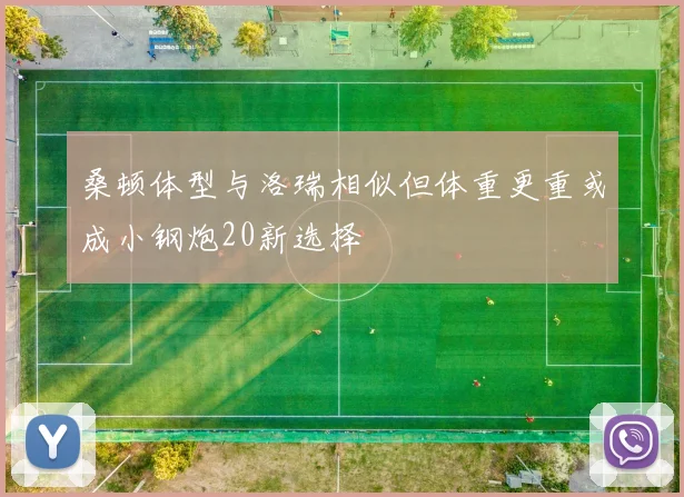 桑顿体型与洛瑞相似但体重更重或成小钢炮20新选择
